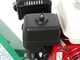 GreenBay GB-WRC 100 H - Professional petrol garden shredder - 6.5 HP Honda GX200 engine