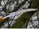 Professional Pruning Saw on aluminium telescopic pole SILKY LONGBOY 360 - 3.60 m pole