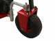 Ceccato Triton Monster Electric - Electric garden shredder - Three-phase - 12.5 HP