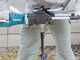 Makita DDG460 36V Post Hole Borer - AUGER BIT, BATTERY AND CHARGER NOT INCLUDED