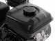 Eurosystems RTT 3 - Petrol Two-wheel Tractor - Brigs&amp;Stratton CR950 - 7HP