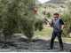 Zanon Olivar Electric AL 300 Battery-powered Electric Olive Harvester, 191/316 cm - Telescopic Aluminium Pole