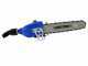 Paterlini JACK PA 10'' 1/4 Pneumatic Chain Pruner - on Extension Pole