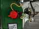 Greenbay GB-WP 80 Petrol Water Pump - with 80 mm Fittings