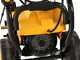 DeWalt DXPW 005E - Professional three-phase pressure washer - 200 bar - 810 L/h