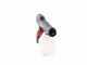 Blue Bird SG 22-10 - Battery-powered Hand-held Sprayer - 12.6 V 2.5Ah