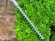 EGO HTA2000S Short Hedge Trimmer Accessory - for PH1400E pole