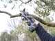 Ausonia Nativa Medium Cordless Pruning Shears - 2 x 16.8 V - 2.5Ah batteries included