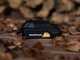 Batavia - Portable Battery-powered Air Compressor - WITHOUT BATTERY AND CHARGER