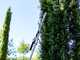 Hedge Trimmer Attachment for WORX WG186E Brush Cutter