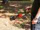 WORX NITRO WG585E.9 Cordless Leaf Blower - 40 V - WITHOUT BATTERY AND CHARGER