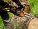 Worx WG385E Nitro - Battery-powered Electric Chainsaw - 2x 40V 4Ah - 40cm Blade