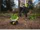 RYOBI RY18CVA-0 Battery-powered Garden Tiller - 18 V - 4 blades - WITHOUT BATTERY AND CHARGER