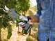 Verdemax FE20 Electric Battery-powered Pruning Shears - 20 V 2Ah battery - &Oslash; 30 mm