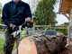 EGO CS1800E 56V - Battery-powered Chainsaw - 45 cm Blade - WITHOUT BATTERY AND CHARGER