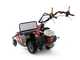 Benassi T 603 - Professional Hammer Rough Cut Mower - Honda GX200 