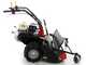 Benassi T900P - Professional Hammer Rough Cut Mower - Honda GX390 