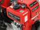 Diesse Minitriss - Diesel Two-wheel Tractor - Vulcan V245 - 4.2HP