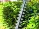 EGO HT 2410E - cordless hedge trimmer brushless - 56V - 2.5 Ah - 61cm