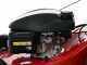 Marina Systems AGRI 57 SH 3V ZHW Self-propelled Lawn Mower - 3 Gears - Honda GCVx 200 Engine