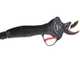 Zanon TIGER SL 38 Electric Pruning Shears on telescopic pole - 3.2Ah 50.4 V battery -  1.75/2.55 m