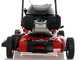 Marina Systems GX BIOMULCH 51SH Mulching Lawn Mower - Honda GCVx 170 Engine