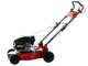 Marina Systems GX BIOMULCH 51SH Mulching Lawn Mower - Honda GCVx 170 Engine