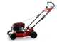 Marina Systems GX BIOMULCH 51SL Mulching Lawn Mower - Loncin 65FC Engine