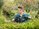 BOSCH UniversalHedgeCut 18V-50 - Battery-powered Hedge Trimmer - 18V/2.5Ah - 50 cm Blade
