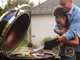 Weber Summit Kamado E6 Charcoal Barbecue  - 61 cm Grid Diameter