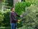 RYOBI RY18HT50A-125 Battery-powered Hedge Trimmer - 18 V - 2.5Ah - 50 cm Blade - 24 mm Cutting Diameter