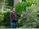 RYOBI RY18HT50A-0 Battery-powered Hedge Trimmer - 18 V - 50 cm Blade - BATTERY AND BATTERY CHARGER NOT INCLUDED