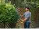 RYOBI RY18HT50A-0 Battery-powered Hedge Trimmer - 18 V - 50 cm Blade - BATTERY AND BATTERY CHARGER NOT INCLUDED