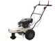 BlackStone WGT 60-173 SP - Self-propelled 4-stroke gasoline wheeled brush cutter