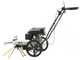 BlackStone WYT 60-173 Steel Walk-behind Power Sweeper - 173 cc Engine