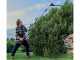 Einhell GC-HH 18/45 Li T Battery-powered Hedge Trimmer on Telescopic Pole - 18 V - BATTERY AND BATTERY CHARGER NOT INCLUDED