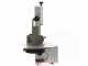 Savioli 1650 Anodised Bone Bandsaw - Blade 1650 - Three-Phase - Band Saw
