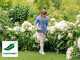 Bosch EasyGrassCut 18V/26 -  Battery-powered Edge Trimmer - 18V 2 Ah