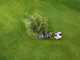 STIGA COMBI 748 S trailed petrol lawnmower - 4 in 1 - Engine ST 140