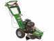 GreenBay Deep L-200 Stump Grinder - Loncin 196 cc Engine - Cutting Disc with 8 Hammers in Tungsten Carbide