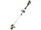 Greenworks G48ST8 - Battery-powered Edge Trimmer - 48V 2 Ah