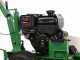 GreenBay DIG BSE-600 - Petrol Catenary - B&amp;S XR2100