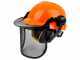 Professional Safety Helmet provided with visor and ear defenders