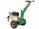 GreenBay DIG L-450 - Petrol Catenary - Loncin 196cc
