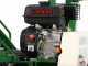 GreenBay DIG L-450 - Petrol Catenary - Loncin 196cc