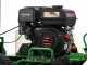 GreenBay DIG L-450 - Petrol Catenary - Loncin 196cc