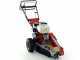 Benassi FR280  Stump Grinder - Honda GX390 engine - Rotor with 12 Hammers
