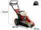 Benassi FR280  Stump Grinder - Honda GX390 engine - Rotor with 12 Hammers