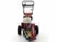 Benassi FR280  Stump Grinder - Honda GX390 engine - Rotor with 12 Hammers