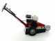 Benassi FR280  Stump Grinder - Honda GX390 engine - Rotor with 12 Hammers